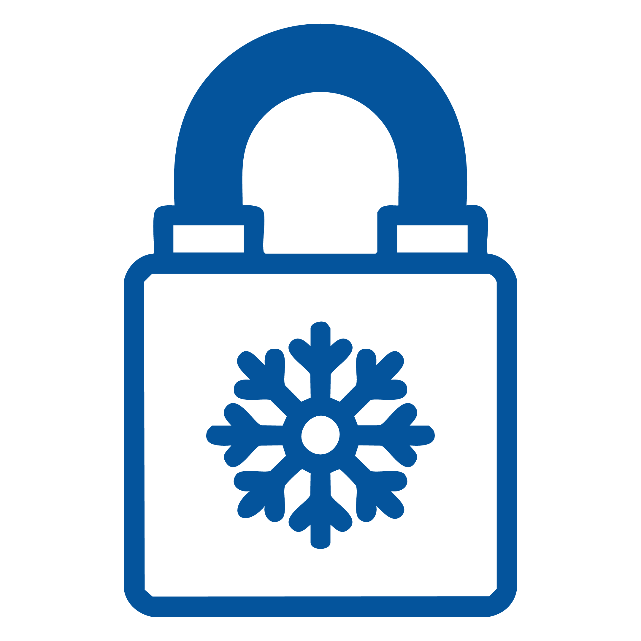 Suspicious Activity or Security Hold Freezes